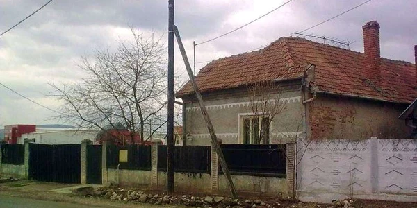mesentea alba