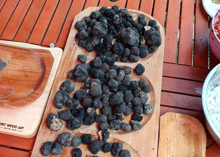 Trufele sunt o ciupercă comestibilă denumită „diamantul culinar” al Bucovinei FOTO: Click