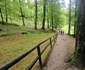 Sarmizegetusa Regia Foto Daniel Guță ADEVĂRUL (109) jpg