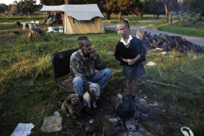 Colinie de buri în Africa de Sud