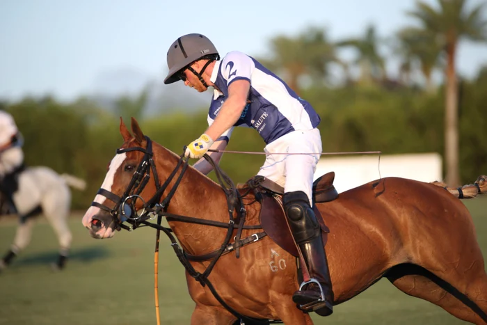 Prințul Harry polo, profimedia 0865459576 jpg