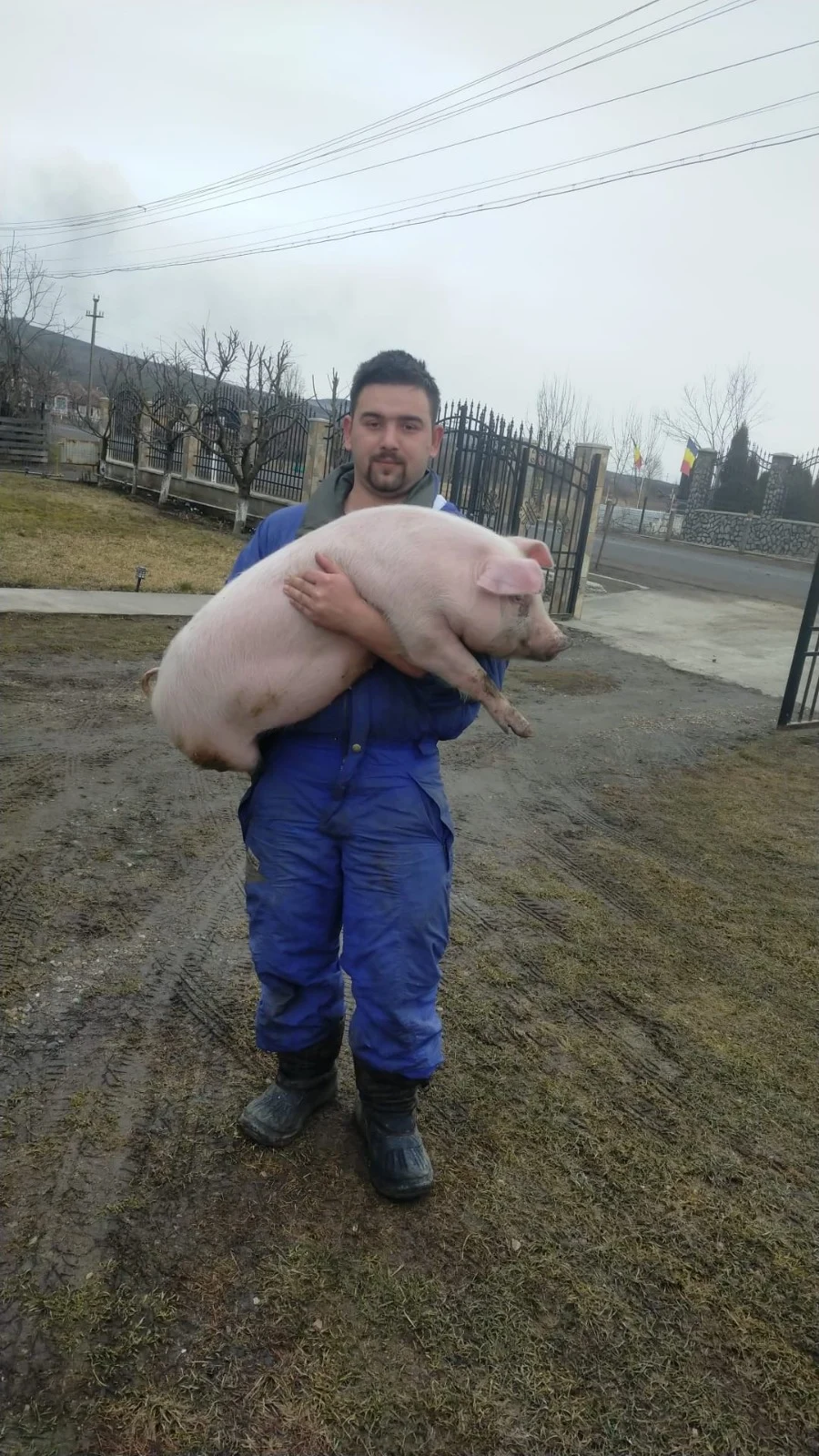 Viceprimar din Mureş, reținut după o urmărire cu poliția: era beat și s-a răsturnat cu mașina în șanț