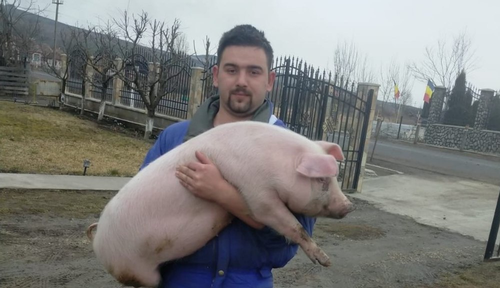 Viceprimar din Mureş, reținut după o urmărire cu poliția: era beat și s-a răsturnat cu mașina în șanț