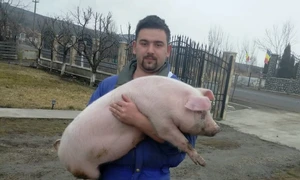 Viceprimarul comunei Pogăceaua, Ștefan Adelin Laurențiu FOTO Facebook 