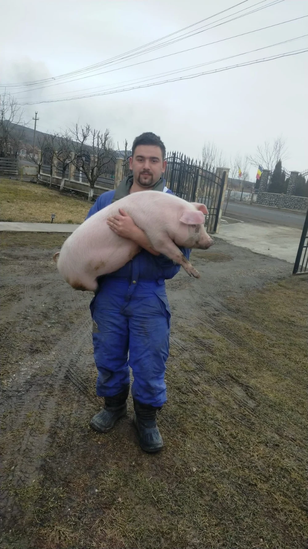 Viceprimar din Mureş, reținut după o urmărire cu poliția: era beat și s-a răsturnat cu mașina în șanț