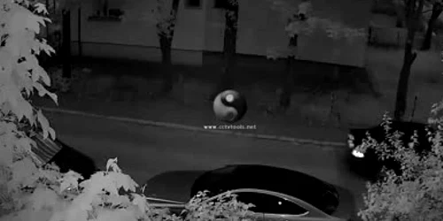 5ccd5a8b445219c57e3cd1f9 jpg