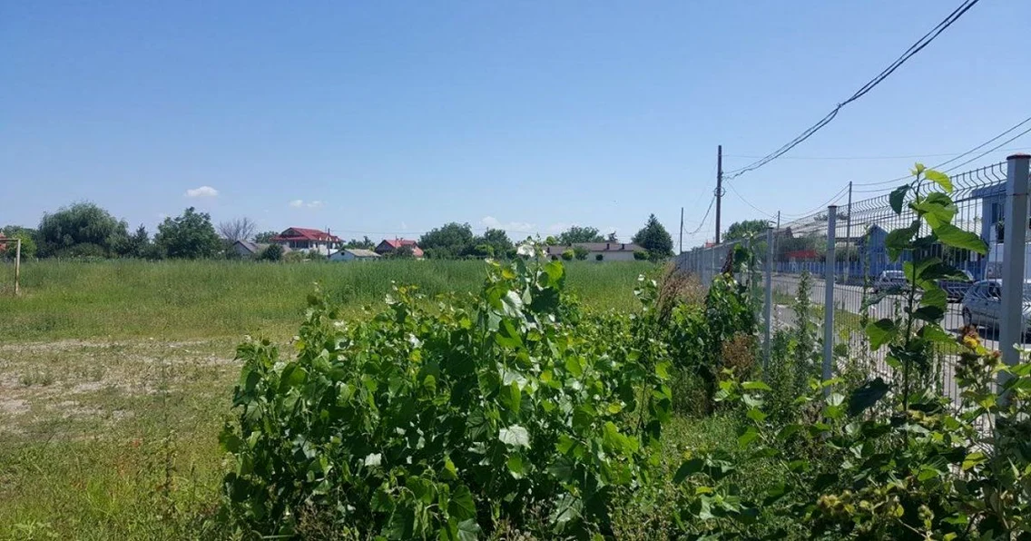 stadion mandresti