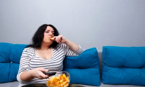 1 shutterstock 763580929 jpg jpeg