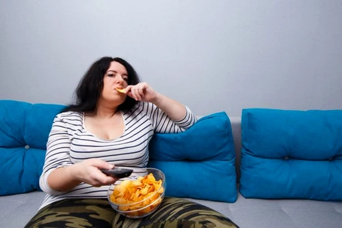 1 shutterstock 763580929 jpg jpeg