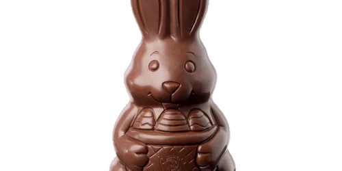 Iepuras ciocolata Foto Leonidas png
