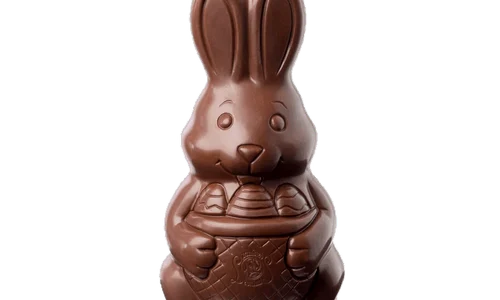 Iepuras ciocolata Foto Leonidas png