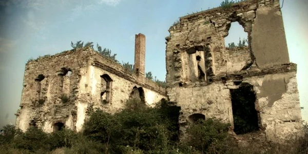 catselul haller cluj
