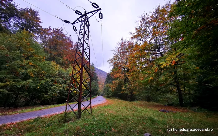 Stâlp de electrificare din zona Râușor. Foto: Daniel Guță