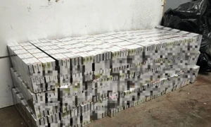 Tigari perchezitii tren FOTO Politia md jpg