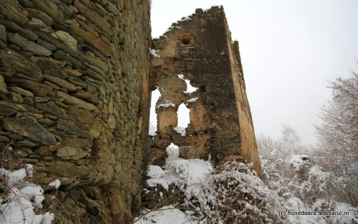 cetatea colt