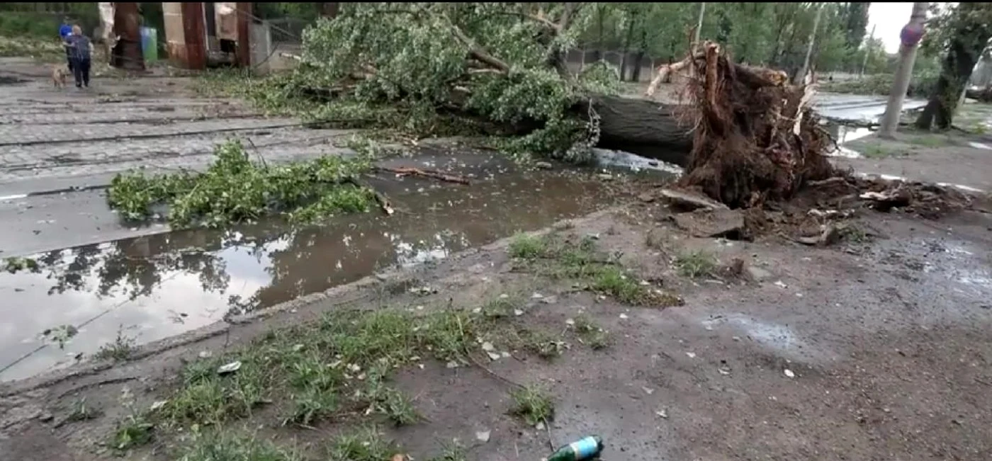 Galati pomi cazuti FOTO Meteoplus