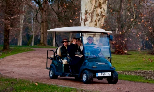 Familia Regală, Majestatea Sa Margareta, Principele Radu, Principesa Maria și Principesa Sofia, a deschis târgul regal de Crăciun la Săvârșin   Daniel Angelescu, Casa Majestății Sale (1) jpeg
