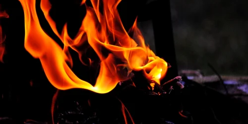 foc