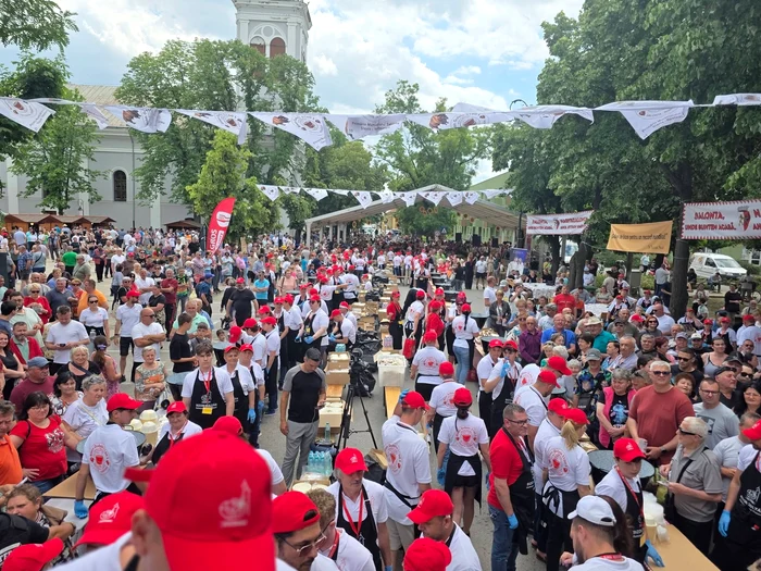 Și implicarea a fost una record. FOTO Primăria Salonta