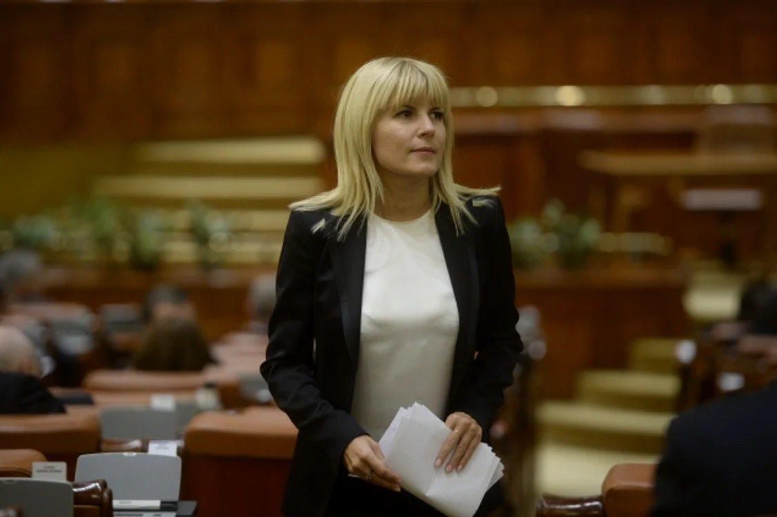 
    Elena Udrea va trebui din nou să convingă colegii parlamentari că nu este vinovată  
