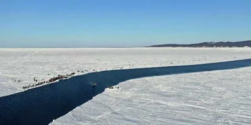 Despridnerea unui sloi de gheata in Sahalin FOTO mchs.gov.ru