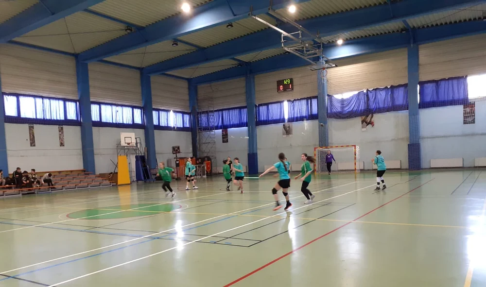 Incidentul a avut loc în sala de sport a Liceului Teoretic Recaș FOTO Facebook/Liceul Teoretic Recaș