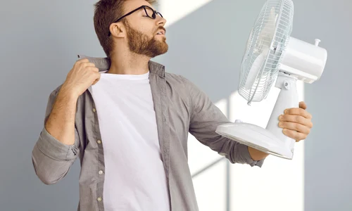 căldură  foto   Shutterstock jpg