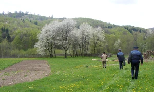 Tăuţii Măgherăuş moarte suspectă jpg