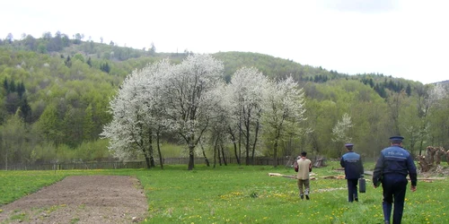 Tăuţii Măgherăuş moarte suspectă jpg