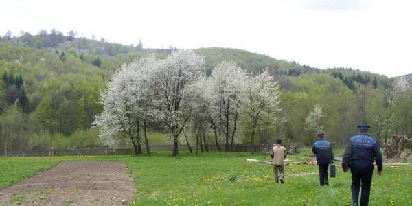 Tăuţii Măgherăuş moarte suspectă jpg