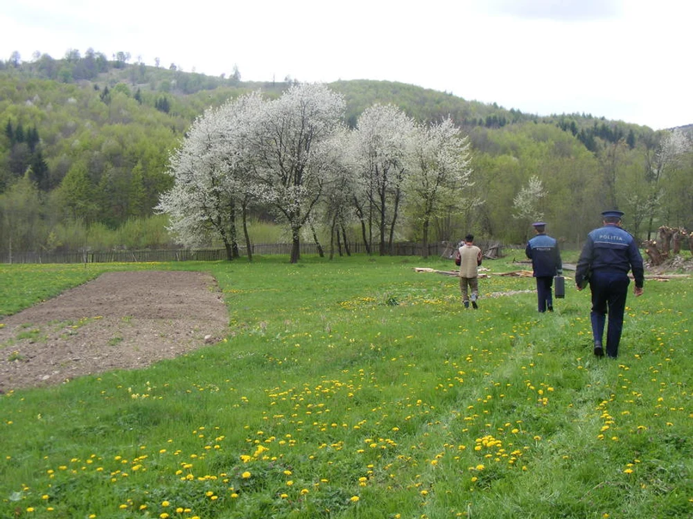 Descoperire șocantă în Maramureș: un adolescent de 15 ani a fost găsit mort pe un câmp