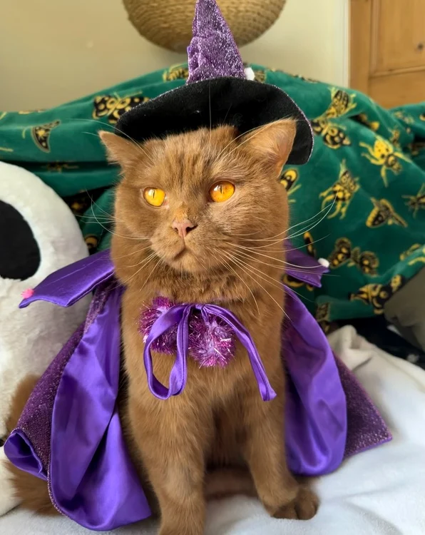 Lui Obi îi place să poarte diverse ținute (Foto: Instagram)