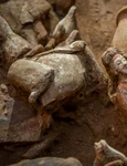 Artifacts Xians Xincheng district 1024x614 jpg