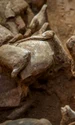 Artifacts Xians Xincheng district 1024x614 jpg