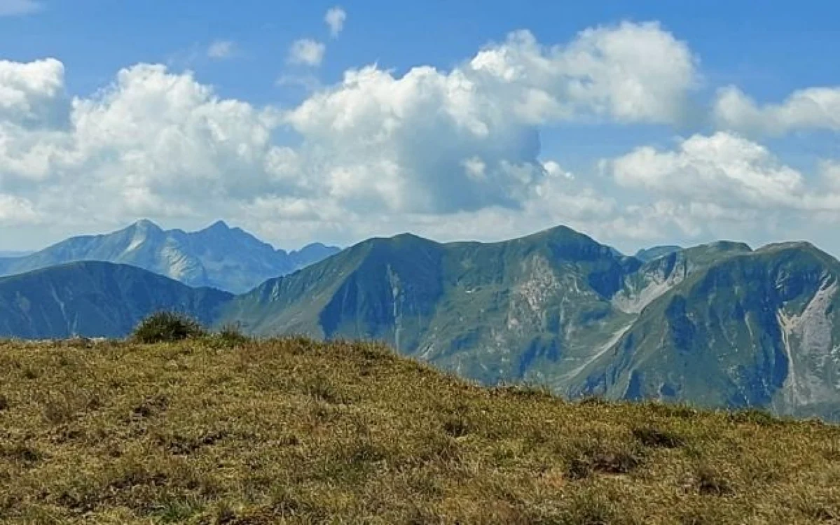 Fostul preşedinte de obşte este acuzat că a depus documente false pentru acordarea de subvenţii pentru gol alpin                                                                                                                                      Foto: Arhivă