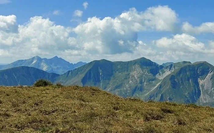 Fostul preşedinte de obşte este acuzat că a depus documente false pentru acordarea de subvenţii pentru gol alpin                                                                                                                                      Foto: Arhivă