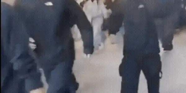coloseum gif