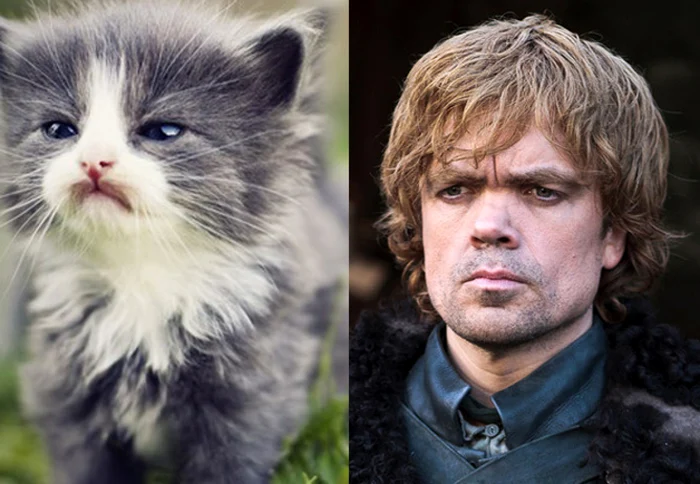 Tyrion Lannister