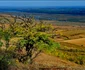 Beştepe loc frumos Tulcea Dobrogea Sursa Facebook Beştepe