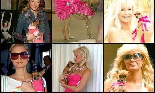 11168496 10152852985513526 5205450904996240745 n jpeg