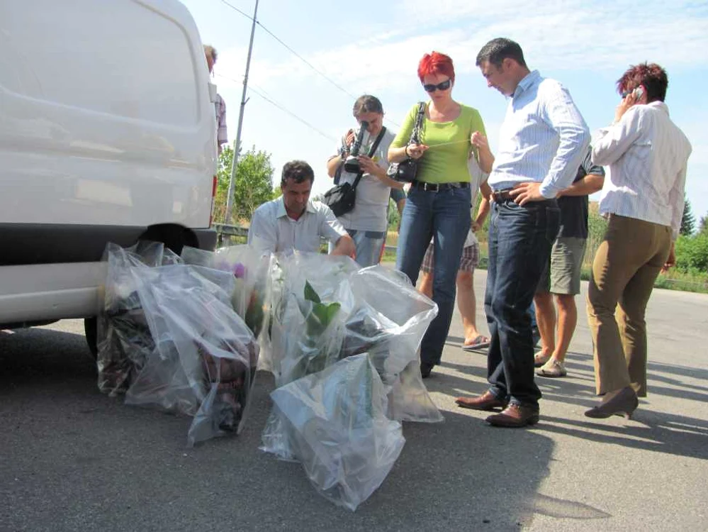 Inspectorii analizează florile