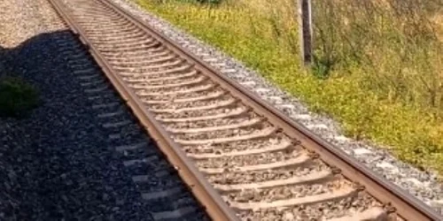 Incendiu de vegetatie la Buftea, Ilfov Foto Captură video Facebook Mihai Tudor jpg