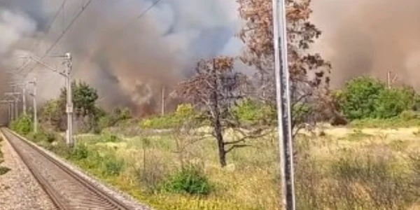 Incendiu de vegetatie la Buftea, Ilfov  Foto Captură video Facebook Mihai Tudor jpg