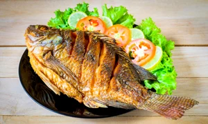 pester prajit adobesotck jpg