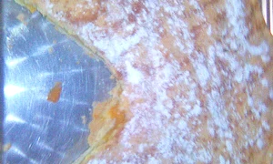 CLIIMA20120113 0065 1 jpeg