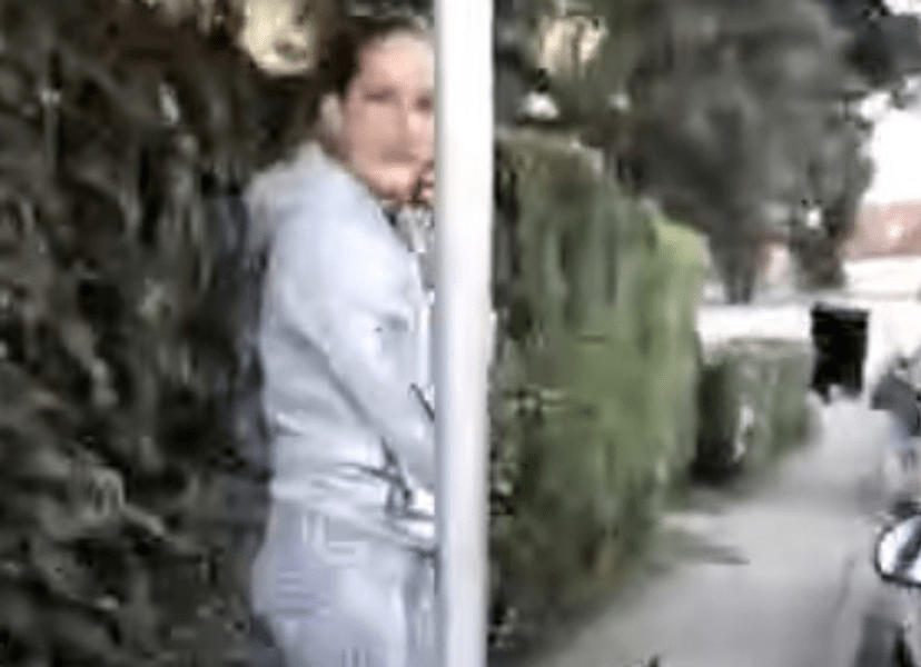 Câine periculos, în gură cu un cățeluș mort. Scenă teribilă într-un cartier din Târgu Jiu VIDEO