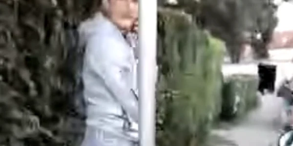 caine periculos jpg