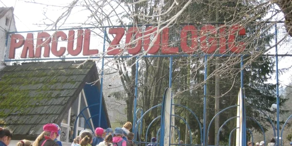 zoo brasov