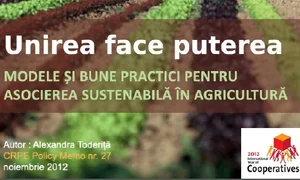 Cum să creşti mare şi să intri pe piaţă în trei paşi jpeg