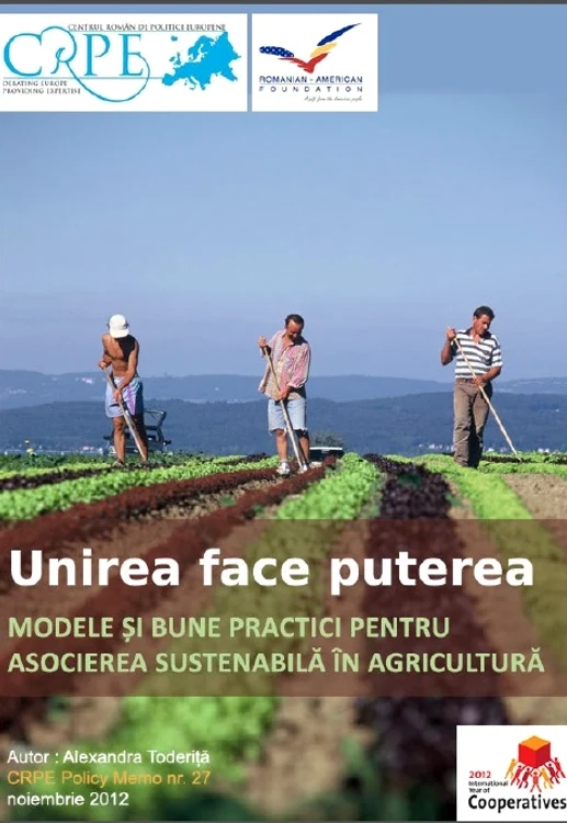 Cum să creşti mare şi să intri pe piaţă în trei paşi jpeg